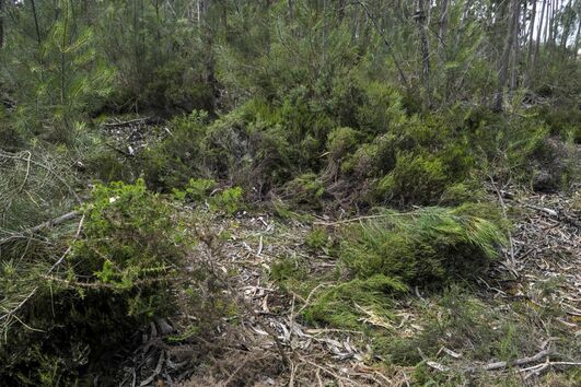 2020-05-13_17_08_55 34706687.JPG