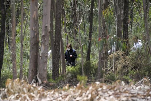 2020-05-13_17_08_56 34706931.JPG