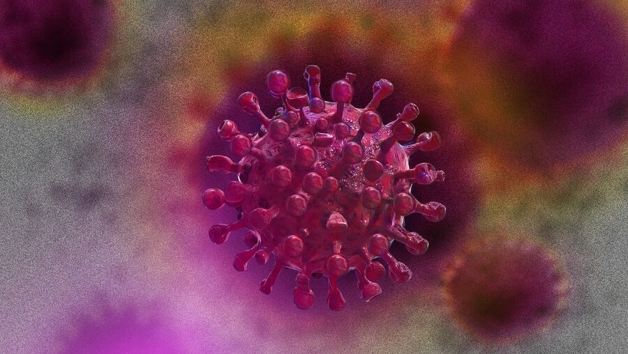 coronavirus virus