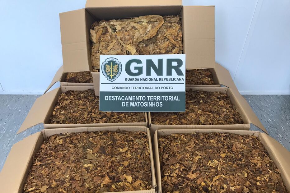 Apreendidos 70 quilos de folha de tabaco em empresa de distribuição na Maia