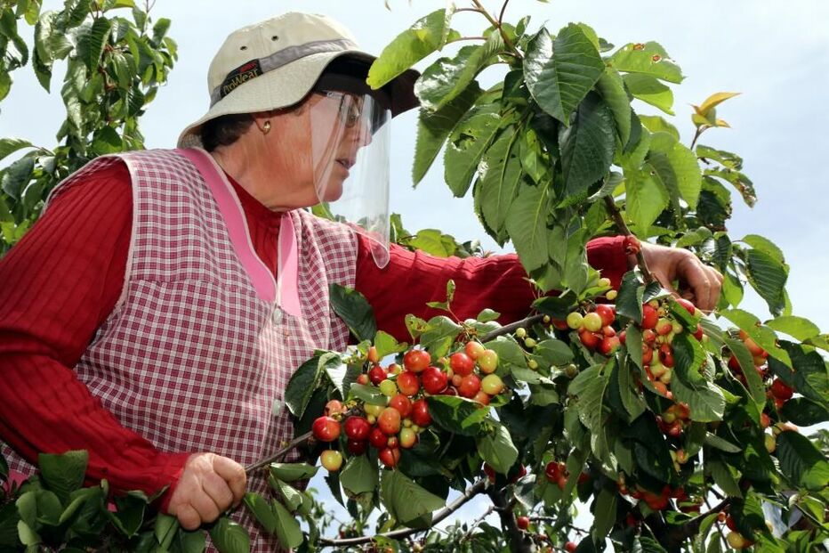 Máscaras e viseiras 