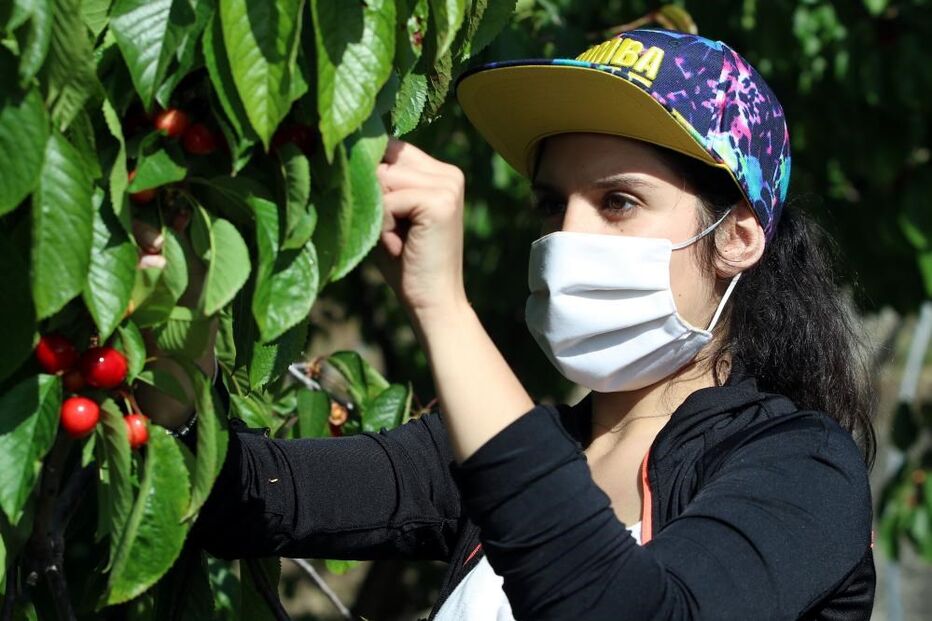 Máscaras e viseiras 