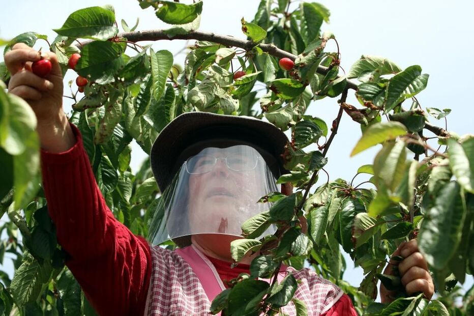 Máscaras e viseiras 