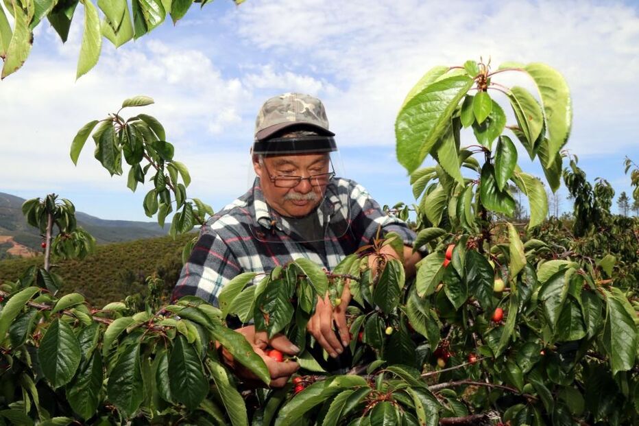 Máscaras e viseiras 