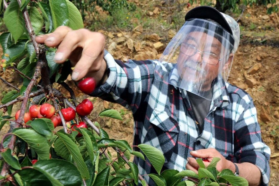 Máscaras e viseiras 