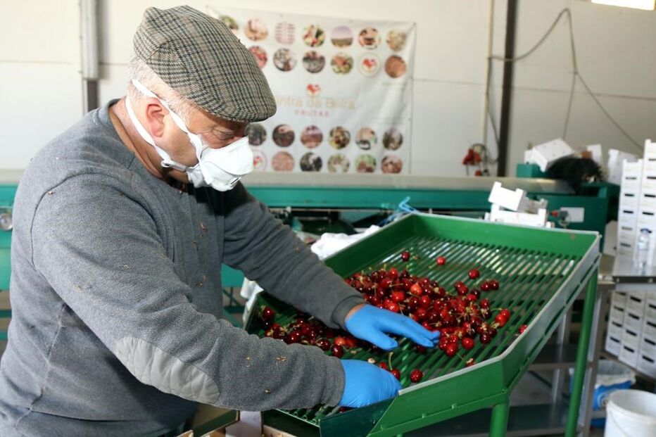 Máscaras e viseiras 