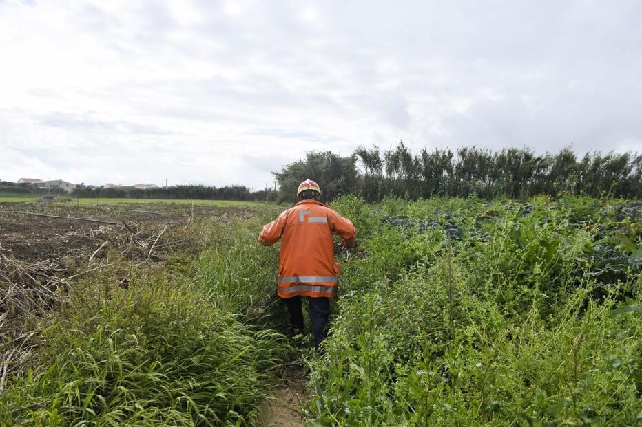 2020-05-09_17_08_06 34699480.jpg