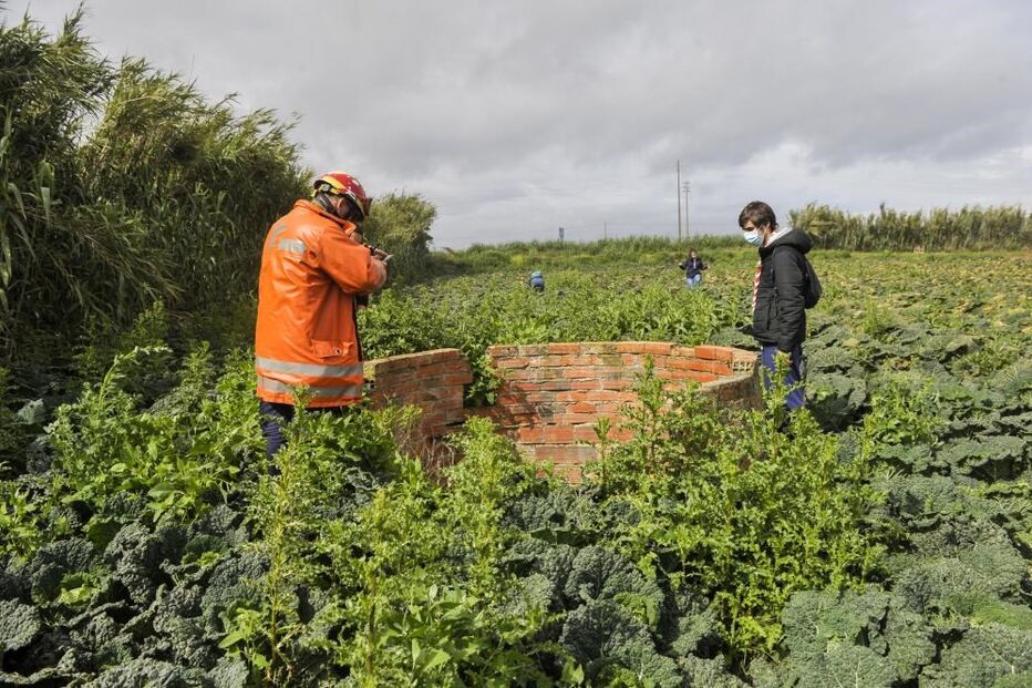 2020-05-09_17_08_06 34699481.jpg