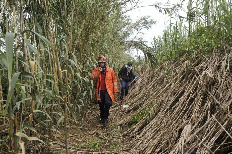 2020-05-09_17_08_09 34699515.jpg