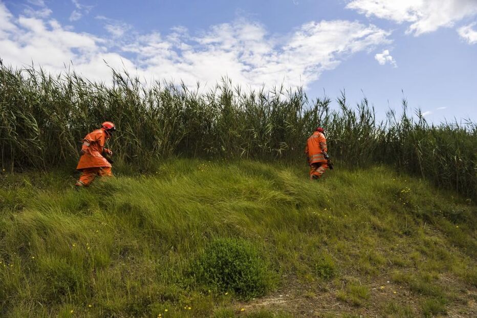 2020-05-09_17_08_10 34699529.jpg