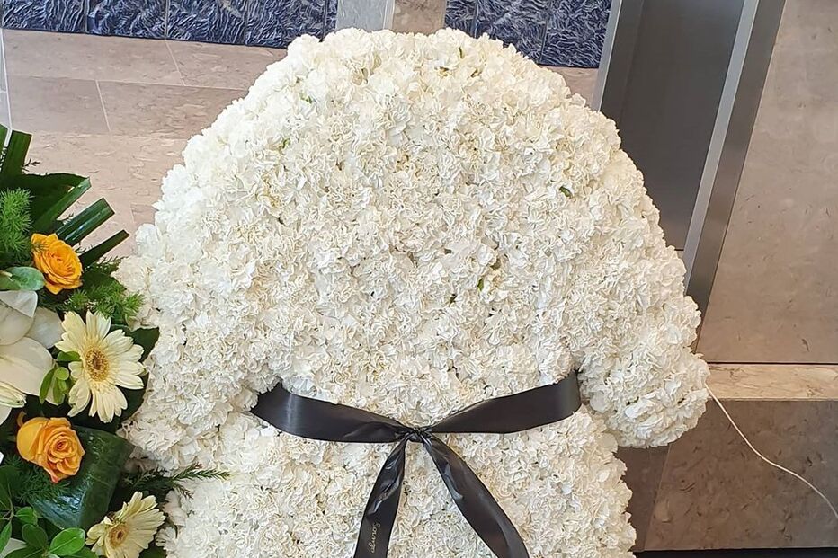 2020-05-10_11_37_16 goncalodinizz_97078295_270360197423158_3763265521360031446_n.jpg