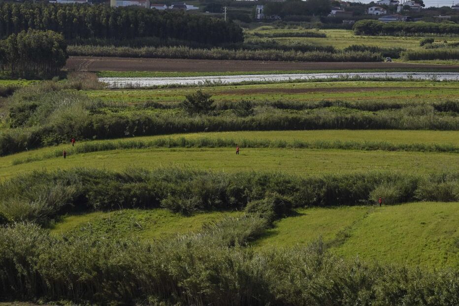 As imagens do quarto dia de buscas por Valentina que terminaram com o pai a confessar que matou a menina