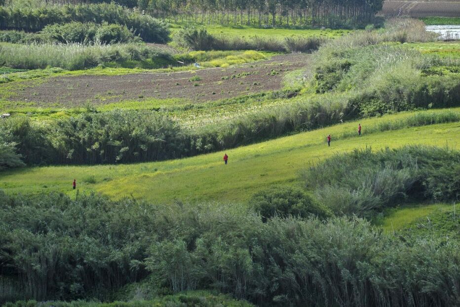 As imagens do quarto dia de buscas por Valentina que terminaram com o pai a confessar que matou a menina