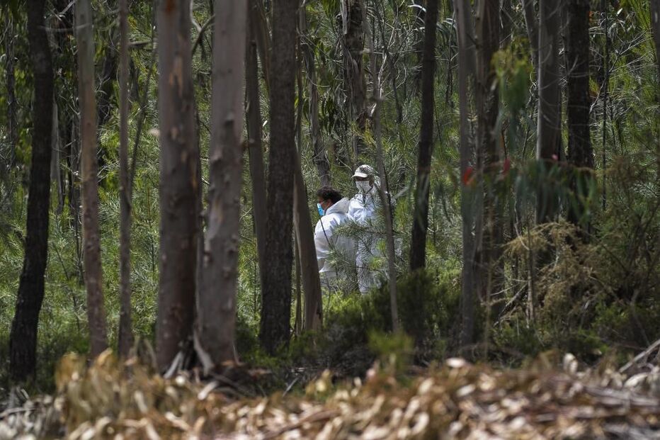 2020-05-10_15_43_22 34705793.jpg