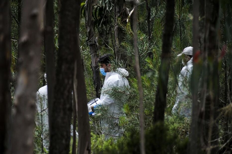 2020-05-10_15_43_22 34705796.jpg