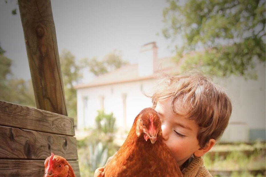 2020-05-15_20_21_08 95077448_2719101634990055_1271031303680571183_n.jpg