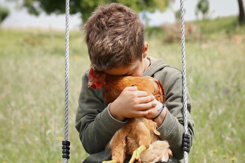 2020-05-15_20_21_11 95355795_244507436904298_6116897076403444441_n.jpg