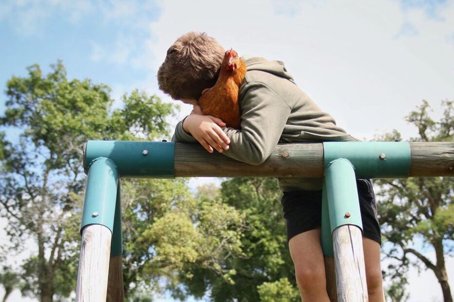 2020-05-15_20_21_13 95461519_568221047133959_5016743751837620216_n.jpg