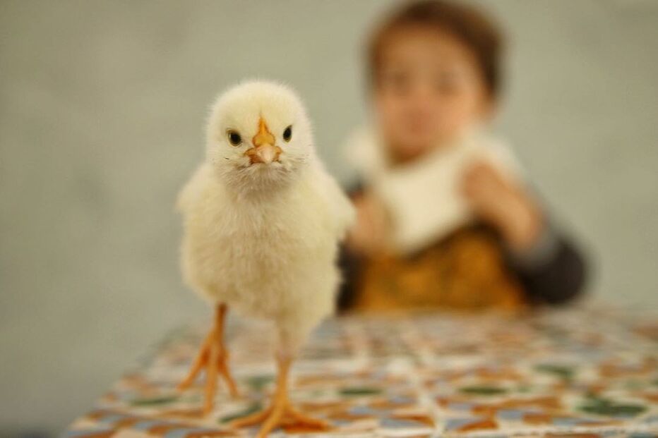 2020-05-15_20_21_16 96021764_157970689032973_4285319608584871216_n.jpg