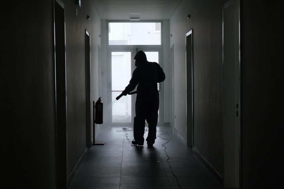 coronavirus portugal 