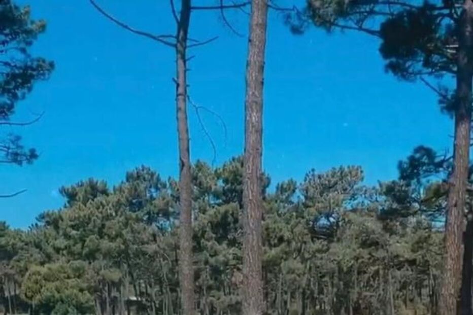 A piscina da casa onde está Carolina Deslandes com a família