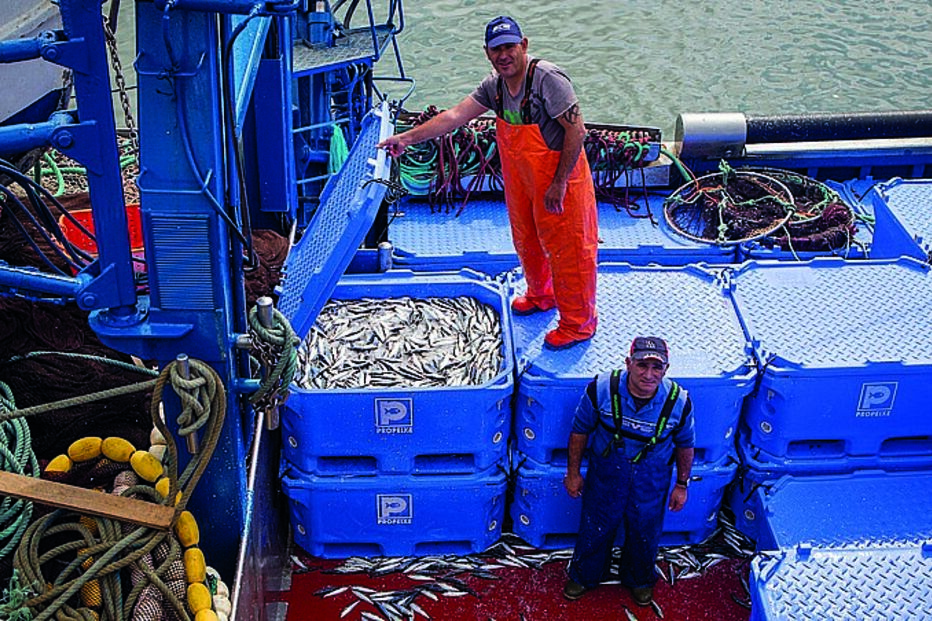 Setor da pesca vai ser alvo de testes de diagnóstico da Covid-19   