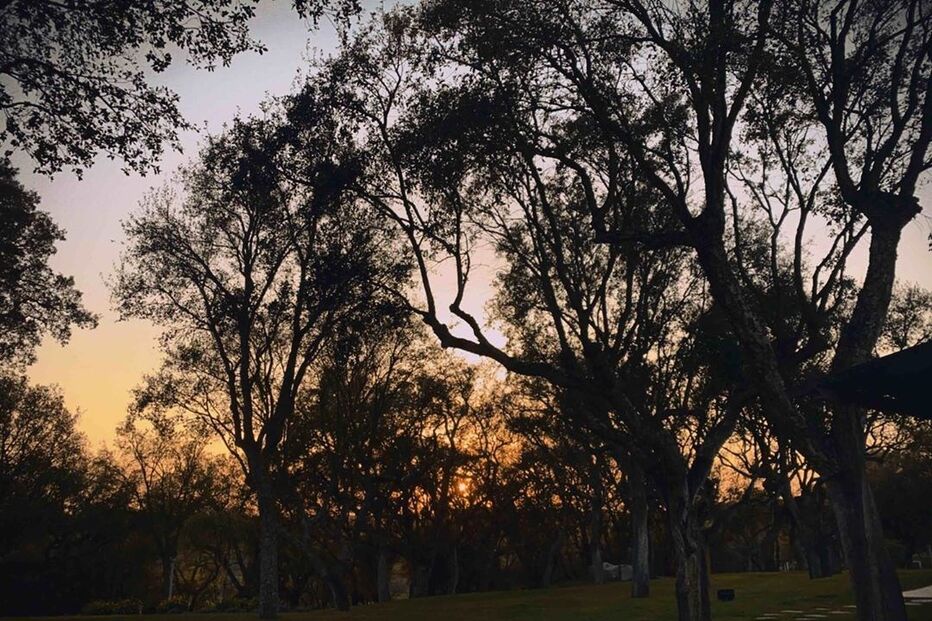 2020-05-22_17_03_34 90995423_2586397221617472_2591564897569837819_n.jpg