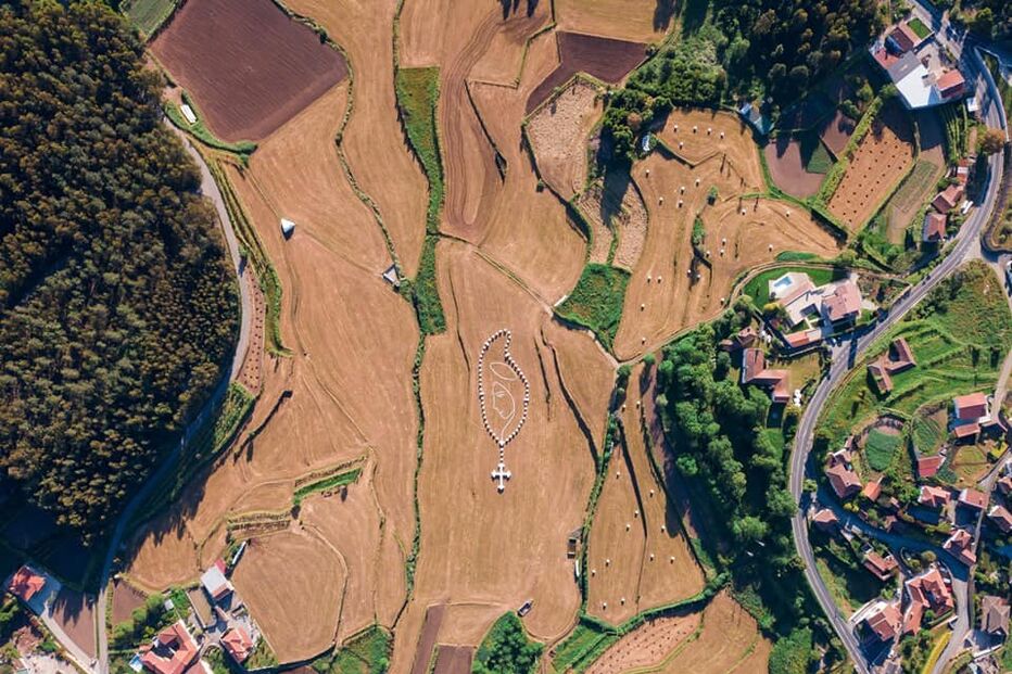 Terço com rolos de palha impressiona em Arouca