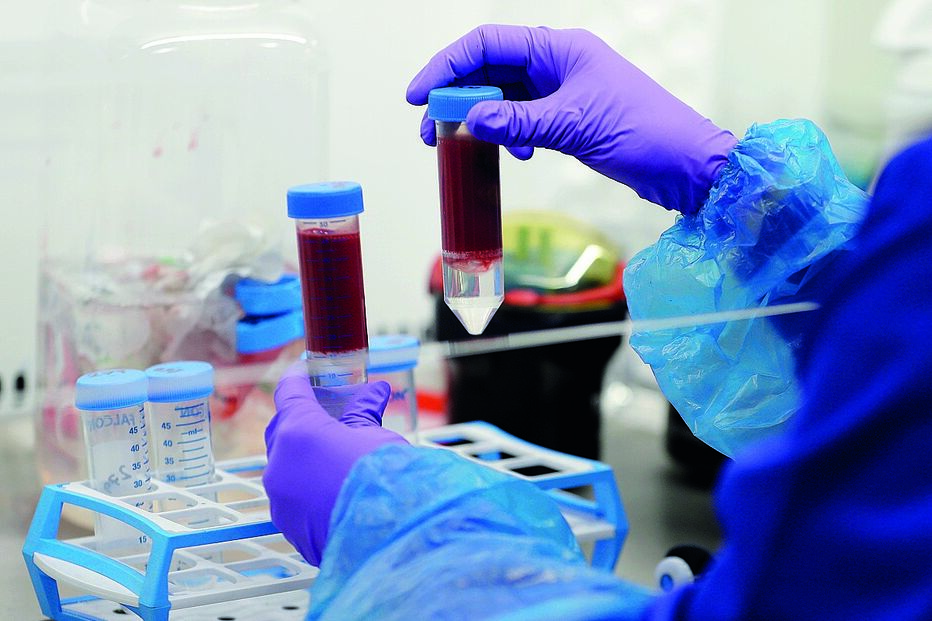 Investigações ao coronavírus