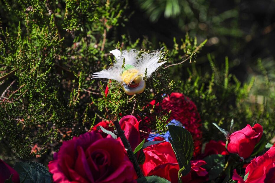 Memorial de Valentina