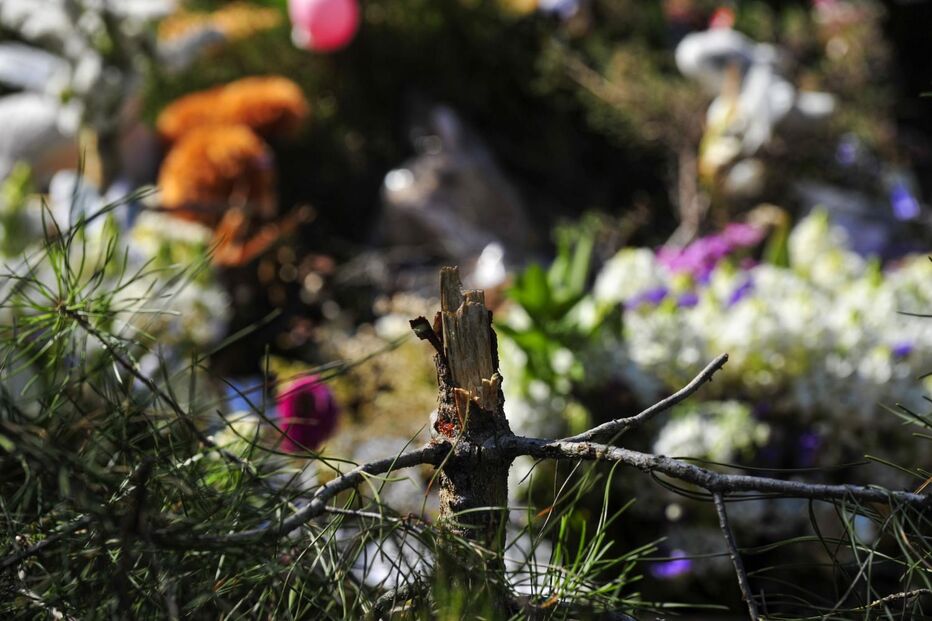 Memorial de Valentina