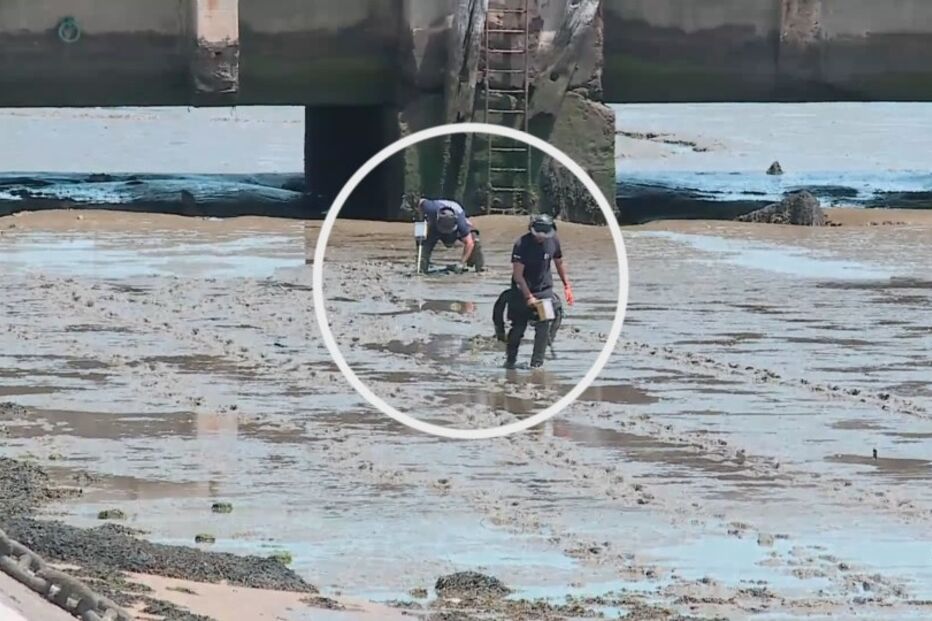 Jovem acusado de planear ataque terrorista em faculdade diz estar 'menos depressivo'