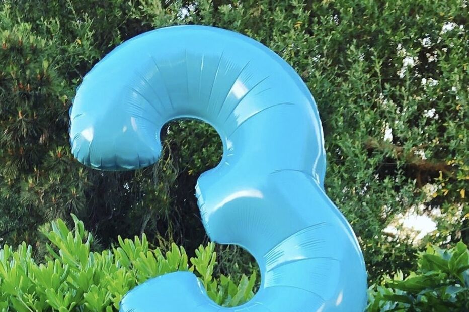 Filho de Ana Brito e Cunha celebrou três anos