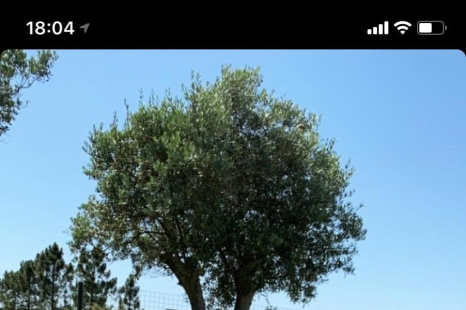 Maria com a filha de Inês Mendes da Silva, Paz