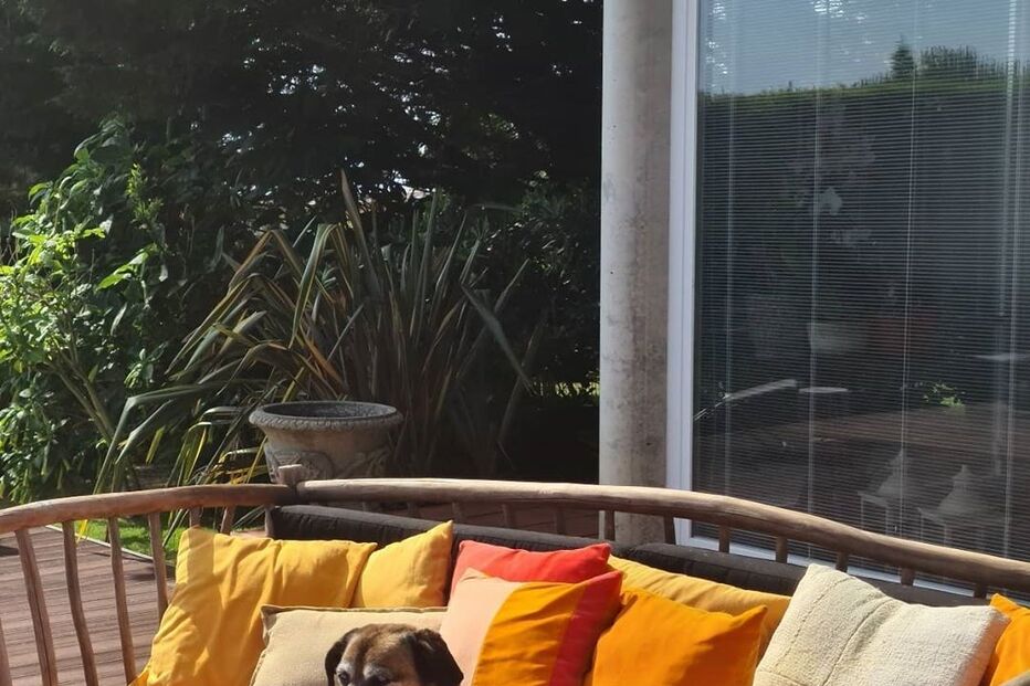 2020-05-30_14_32_35 mlgoucha_101222108_143928610554331_7340575482823723406_n (1).jpg