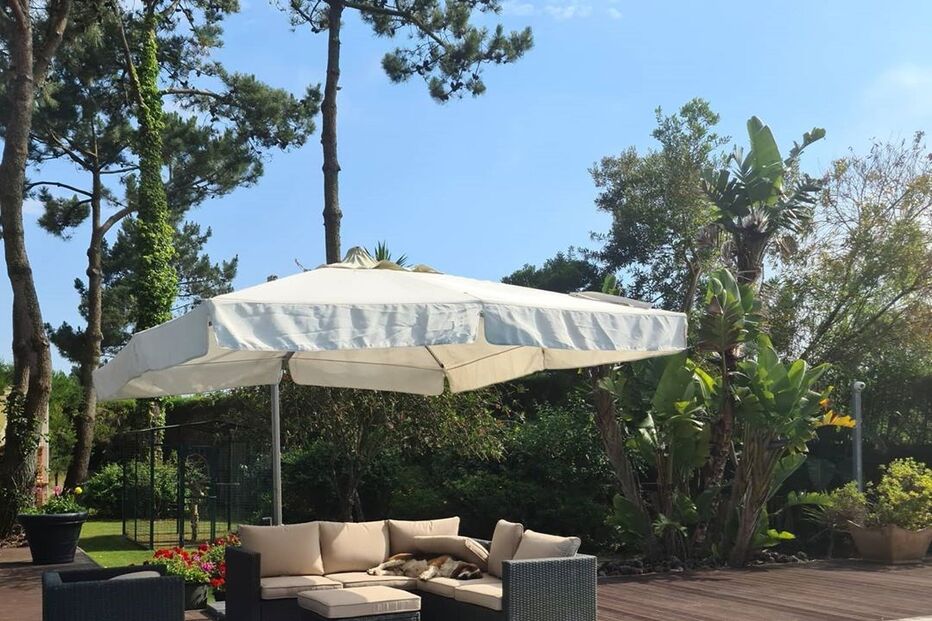 2020-05-30_14_32_35 mlgoucha_101288495_2683034232017428_2200357882626485846_n.jpg