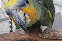 2020-06-02_11_35_43 NINTCHDBPICT000586526964.jpg