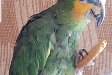 2020-06-02_11_35_44 NINTCHDBPICT000586527734.jpg