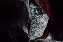 Autocarro do Benfica apedrejado empate com Tondela. Weigl e Zivkovic levados para o hospital	