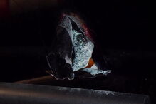 Autocarro do Benfica apedrejado