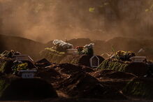 Cemitério de Vila Formosa, em São Paulo