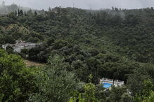 Na serra algarvia equipas de sapadores 