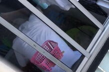 Homem filmado a espancar cão em Loures