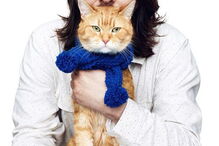 Bob, o gato de rua que transformou o dono sem-abrigo num escritor 'best-seller'