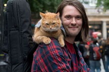 Bob, o gato de rua que transformou o dono sem-abrigo num escritor 'best-seller'