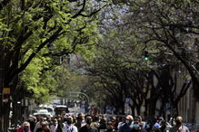 Trabalhadores da diversão noturna entregam chaves dos estabelecimentos no parlamento 