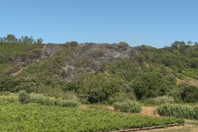 Quatro meios aéreos e mais de 70 bombeiros combatem incêndio florestal na Azambuja