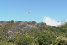 Quatro meios aéreos e mais de 70 bombeiros combatem incêndio florestal na Azambuja
