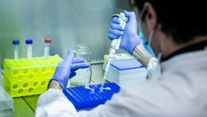 Portugal não tem novos casos da variante Ómicron em investigação