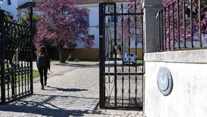 Universidade de Évora quer testar todos os alunos à Covid-19 até maio